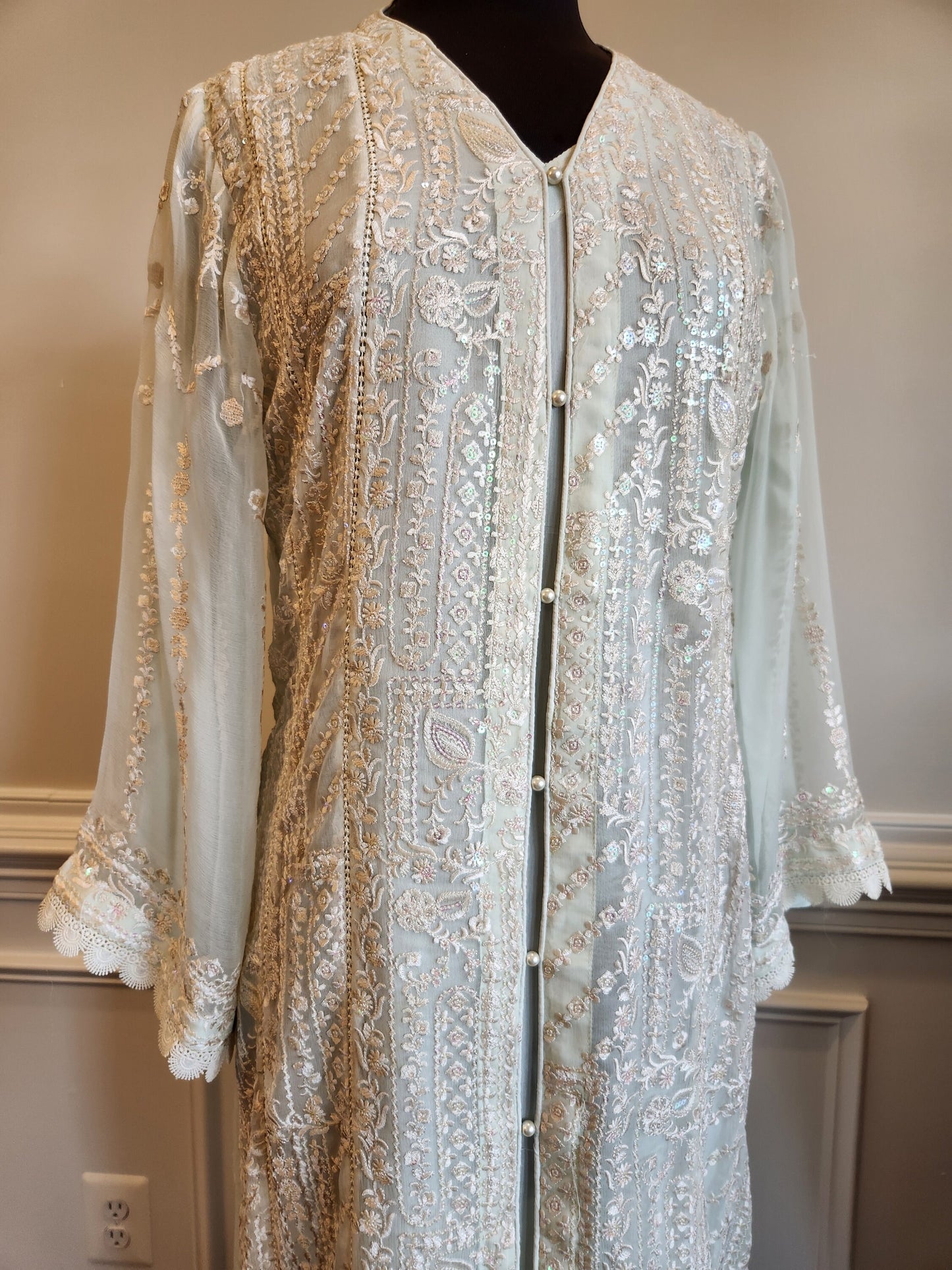 pure chiffon chikankari on pastel green color.